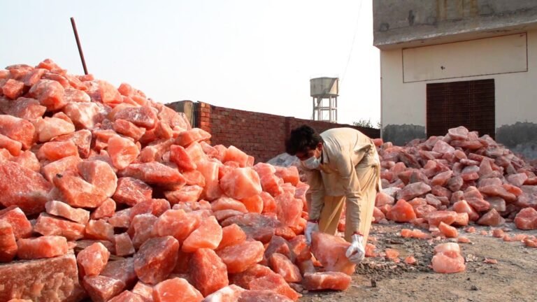 Opportunity to Grow Exports through Himalayan Pink Salt
