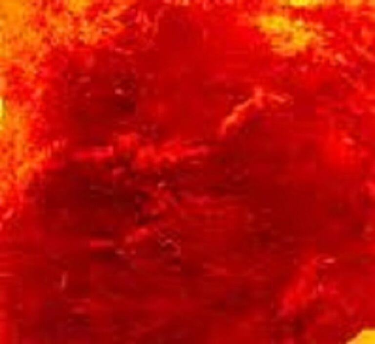 Pakistan issues heat wave alert