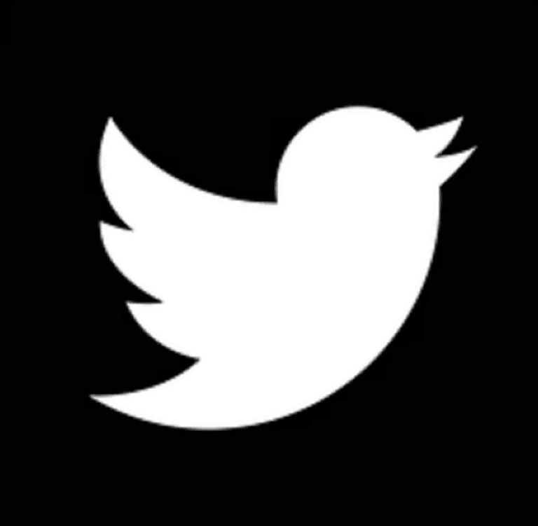 Pakistan losses over $5 million monthly with Twitter Ban