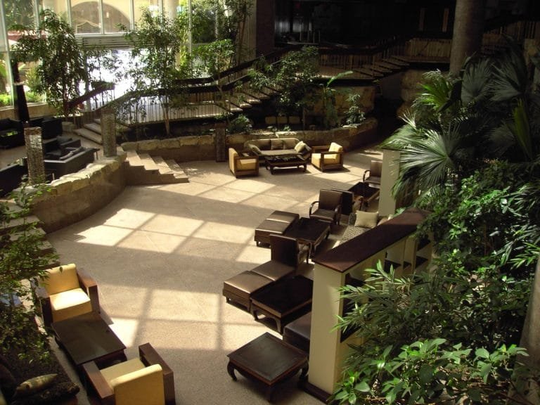 Transform Your Backyard into an Oasis: Discover Stylish Garden Makeovers