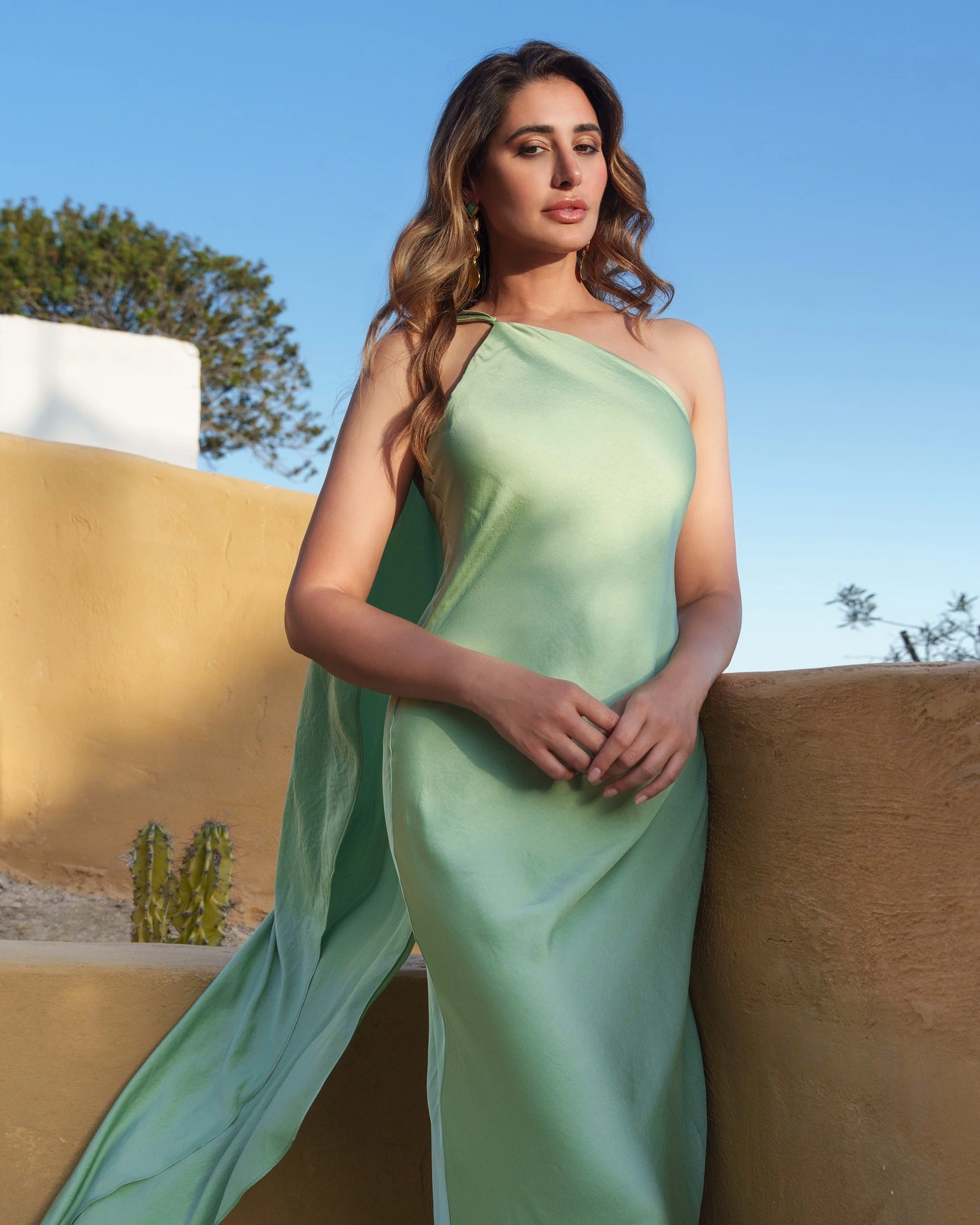 Nargis