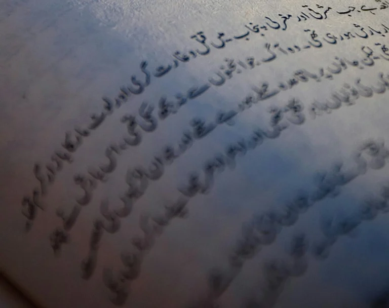 Ambassador Rizwan Saeed Sheikh Offers Embassy Resources for the Promotion of Urdu Literature and Cultural Heritage