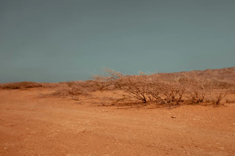 Irrigation Department Issues Drought Alert