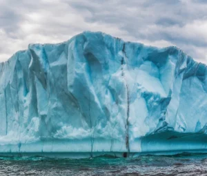 All About Polar Vortex Collapse in US and Canada in 2025
