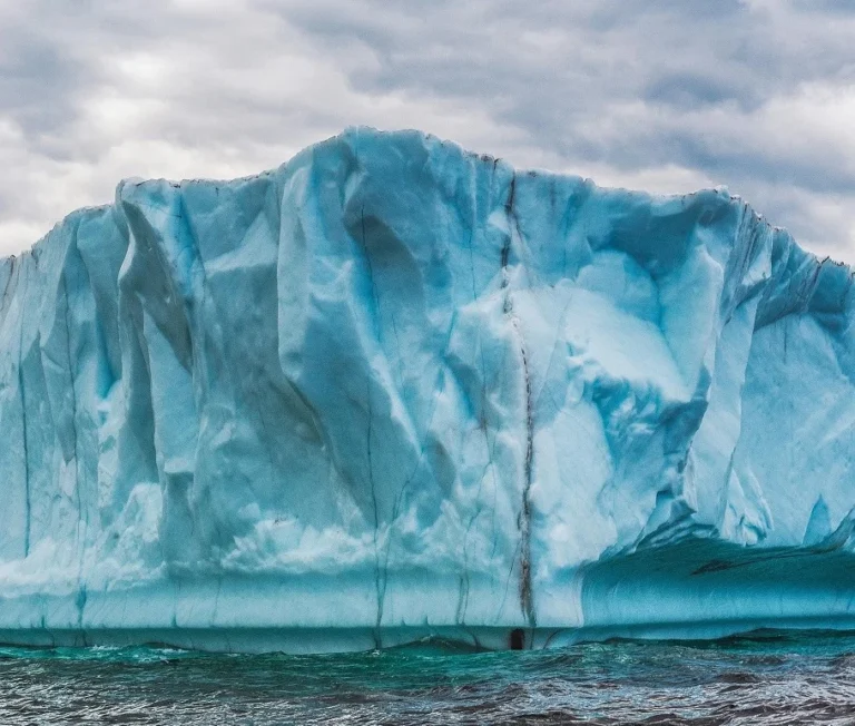 All About Polar Vortex Collapse in US and Canada in 2025