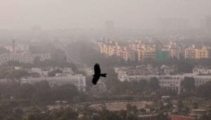 Top 20 Most Polluted Cities in the World Revealed, Asia Dominates the List
