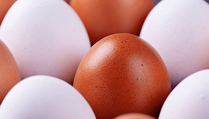 Brown Eggs vs White Eggs: Which One is More Nutritious?