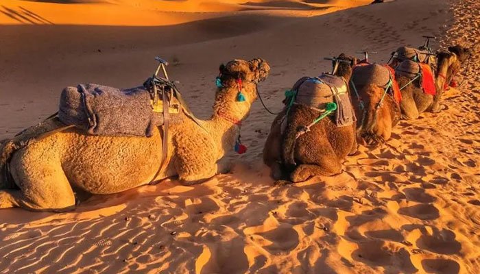Top Ten Countries with the Largest Desert Areas in the World