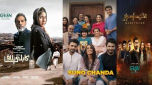 Top 10 Pakistani Dramas That Deserve a Second Season!