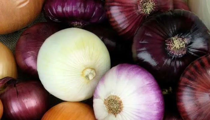 Onions: A Pungent Powerhouse of Health Benefits