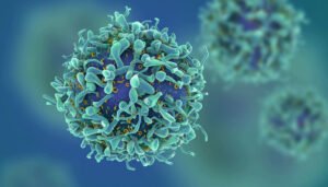 Key Factors That Increase the Risk of Cancer!