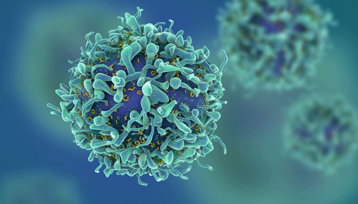 Key Factors That Increase the Risk of Cancer!